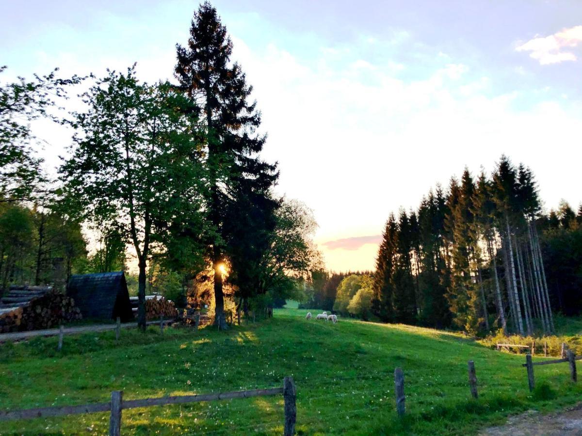 Hotel Zur Post Brilon Exteriér fotografie
